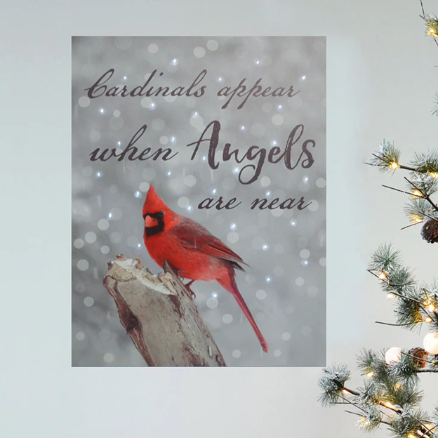 Cardinal Message - LED Canvas