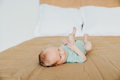 Short Sleeve Bodysuit - Briar
