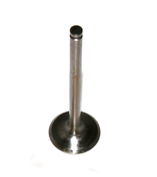 tr6-rv34333 Valve Intake